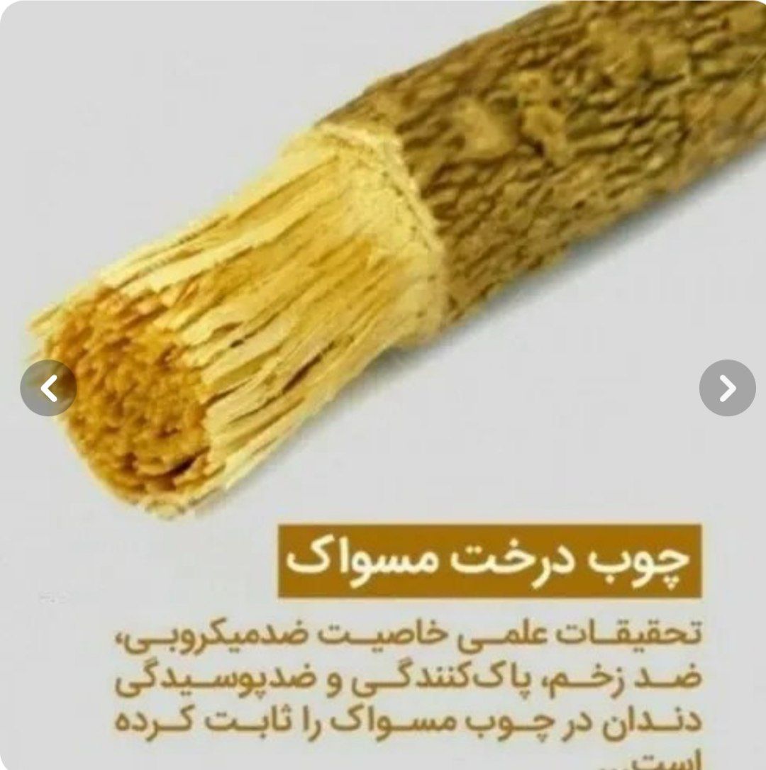 چوب مسواک طبیعی 3 چوب مسواک طبیعی - Image 3